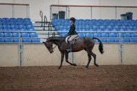 2019 Morgan Horse Show - Aug 31, 2019 - 06312
