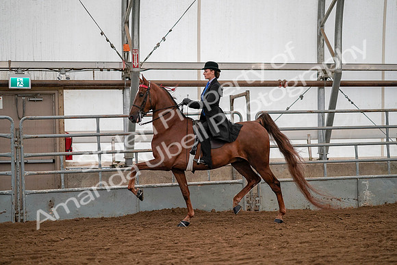 July 19, 2019 - 10475