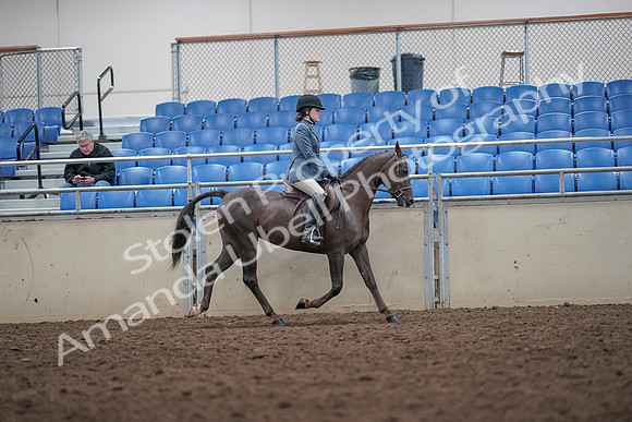 2019 Morgan Horse Show - Aug 31, 2019 - 16739