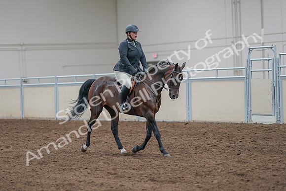 2020 - AB Morgan Horse - Sat, Sept 05 - 09348
