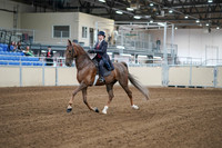 2020 - AB Morgan Horse - Sat, Sept 05 - 06044