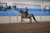 2019 Morgan Horse Show - Aug 31, 2019 - 19912