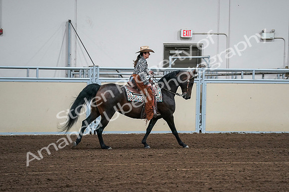 2020 - AB Morgan Horse - Fri, Sept 04 - 00423