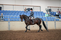 2019 Morgan Horse Show - Aug 30, 2019 - 13880