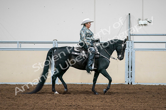 2020 - AB Morgan Horse - Fri, Sept 04 - 03536