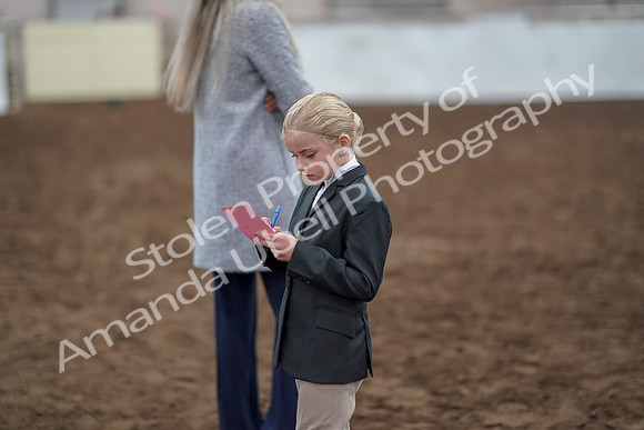 2019 Morgan Horse Show - Aug 31, 2019 - 03949