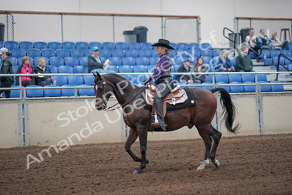 2019 Morgan Horse Show - Aug 31, 2019 - 10554