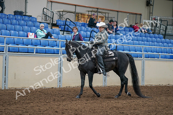 2020 - AB Morgan Horse - Fri, Sept 04 - 03513