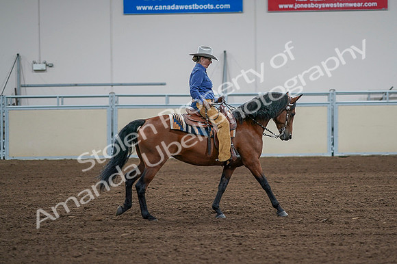 2020 - AB Morgan Horse - Fri, Sept 04 - 00118