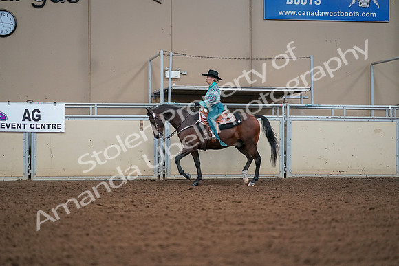 2019 Morgan Horse Show - Aug 30, 2019 - 16808