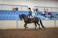 2019 Morgan Horse Show - Aug 30, 2019 - 13873