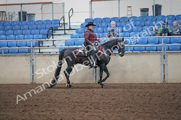 2019 Morgan Horse Show - Aug 31, 2019 - 10753