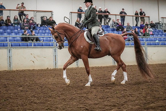 Spring Fling - Saturday - April 20, 2019  -  04523