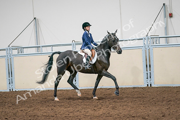 2020 - AB Morgan Horse - Sun, Sept 06 - 08032