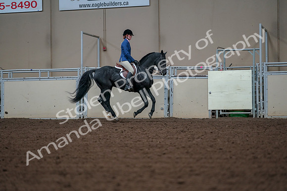 2019 Morgan Horse Show - Aug 30, 2019 - 18613