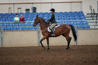 2019 Morgan Horse Show - Aug 31, 2019 - 04825