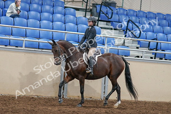2020 - AB Morgan Horse - Sat, Sept 05 - 14405