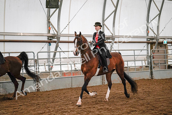 July 19, 2019 - 8790