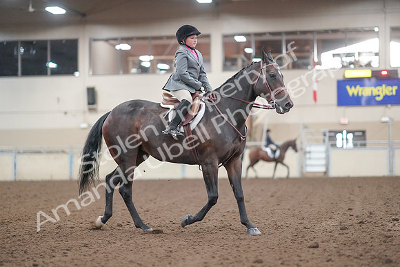 2019 Morgan Horse Show - Aug 31, 2019 - 19645