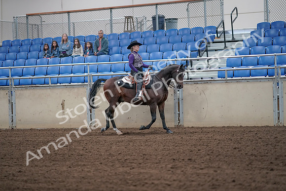 2019 Morgan Horse Show - Aug 31, 2019 - 10780