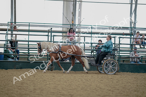 July 21, 2019 - 06003