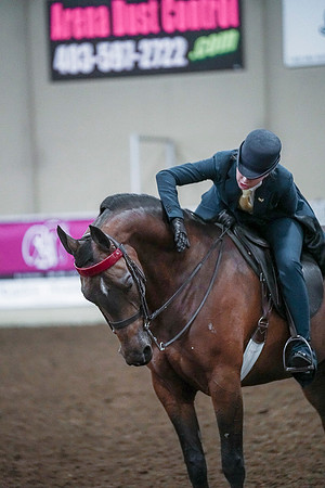 Spring Fling - Saturday - April 20, 2019  -  00863