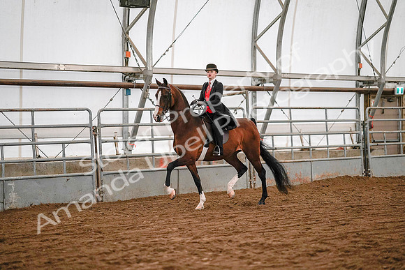 July 19, 2019 - 8708