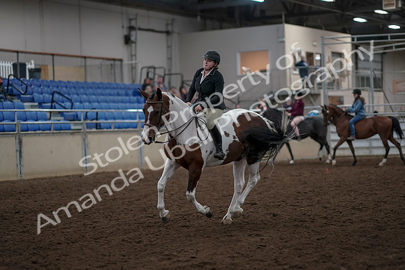 2019 Morgan Horse Show - Aug 30, 2019 - 31279