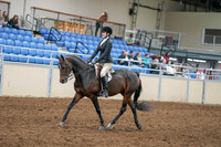 2020 - AB Morgan Horse - Sat, Sept 05 - 14207