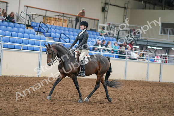 2020 - AB Morgan Horse - Sat, Sept 05 - 14207