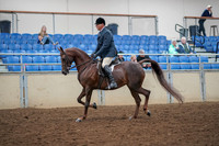 2019 Morgan Horse Show - Aug 30, 2019 - 17251