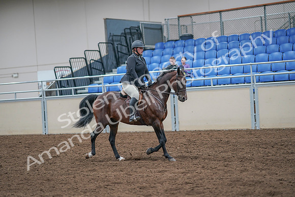 2020 - AB Morgan Horse - Sat, Sept 05 - 09352