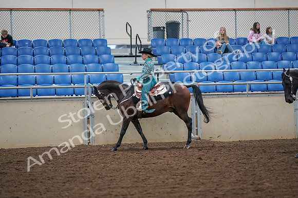 2019 Morgan Horse Show - Aug 30, 2019 - 16880