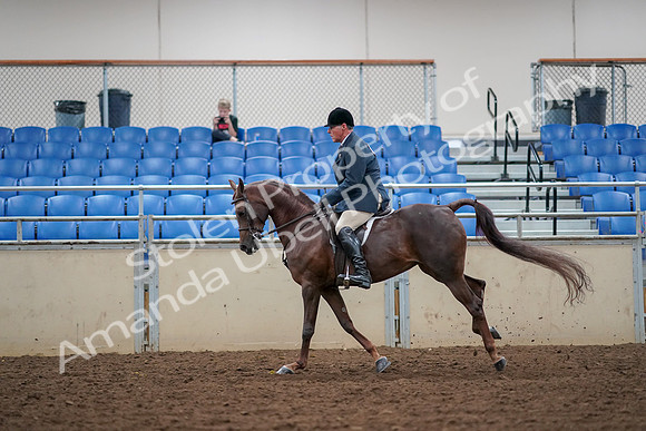 2019 Morgan Horse Show - Aug 30, 2019 - 17489