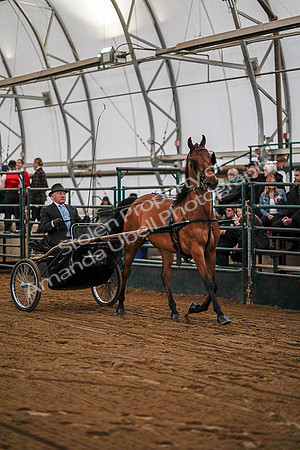 July 19, 2019 - 6924