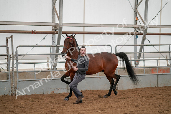 July 19, 2019 - 1190