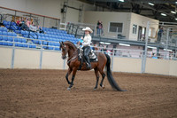 2020 - AB Morgan Horse - Fri, Sept 04 - 08250