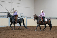 2020 - AB Morgan Horse - Sat, Sept 05 - 05651