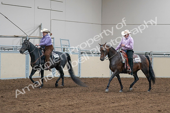 2020 - AB Morgan Horse - Sat, Sept 05 - 05651