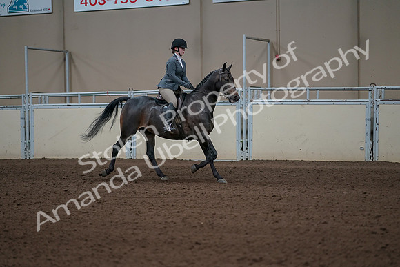 2019 Morgan Horse Show - Sept 01, 2019 - 11049