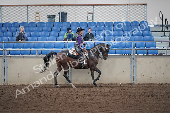 2019 Morgan Horse Show - Aug 31, 2019 - 10701