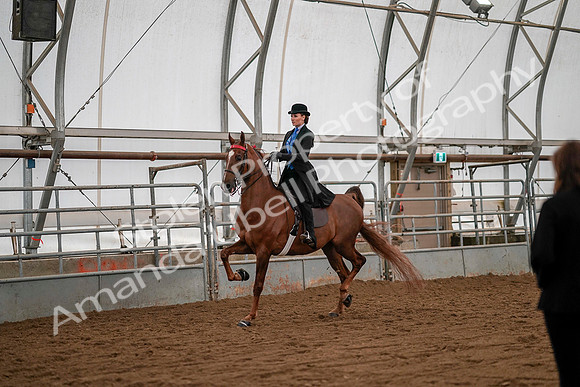 July 19, 2019 - 10573