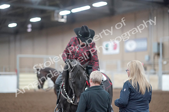 2019 Morgan Horse Show - Aug 31, 2019 - 10805