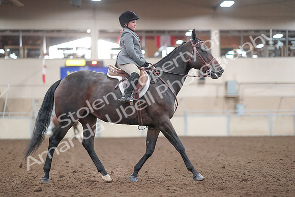 2019 Morgan Horse Show - Aug 31, 2019 - 19649