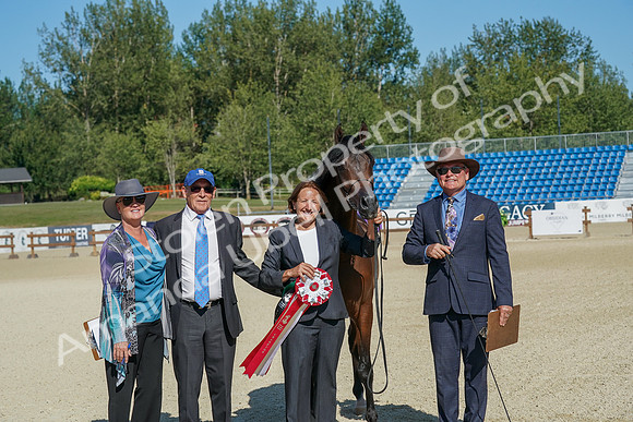 2024 - WCB - July 19 - 03781