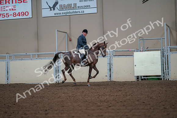 2019 Morgan Horse Show - Aug 30, 2019 - 17526