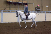 Class 177 - Arabian Hunter Pleasure, AOTR