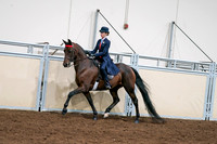 2020 - AB Morgan Horse - Sat, Sept 05 - 08536