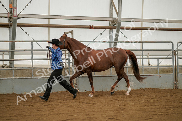 July 19, 2019 - 1281