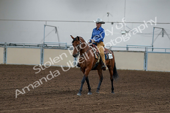 2020 - AB Morgan Horse - Fri, Sept 04 - 00132